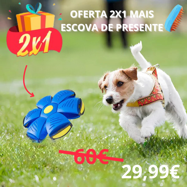 FlyBall™ Bola Voadora para Cães - (OFERTA 1+1 MAIS ESCOVA VAPORIZADORA)