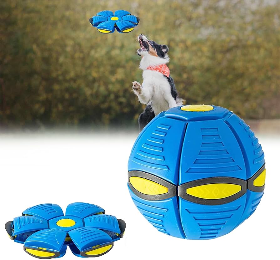 A incrível bola voadora - PET TOY™ -  2X1 OFERTA - (VENDA DE FECHAMENTO)