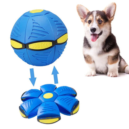 FlyBall™ Bola Voadora para Cães - (OFERTA 1+1 MAIS ESCOVA VAPORIZADORA)