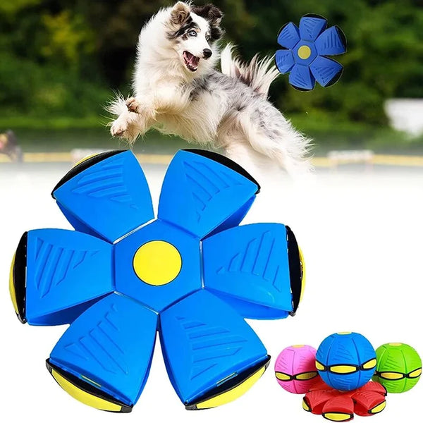 FlyBall™ Bola Voadora para Cães - (OFERTA 1+1 MAIS ESCOVA VAPORIZADORA)